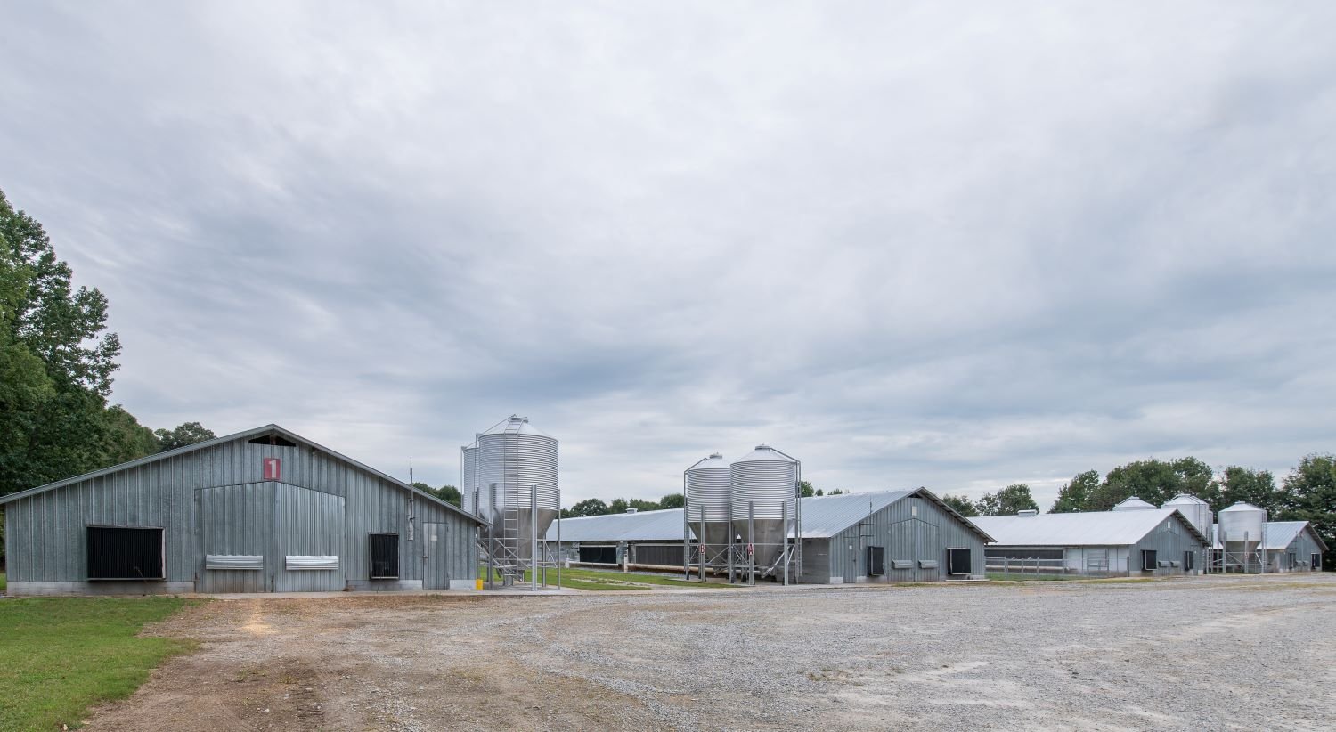 Springer Farm