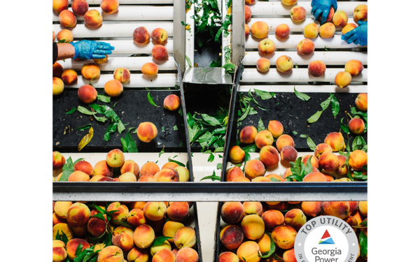 Peaches on a conveyor belt in a processing facility with badge that reads Georgia Power is a Top Utility in Economic Development