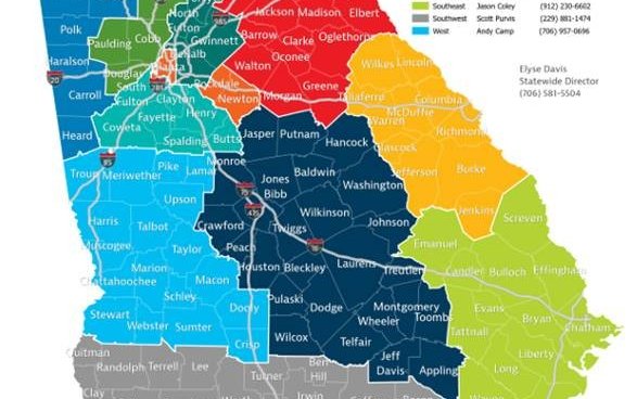 regional economic development map shows georgia counties